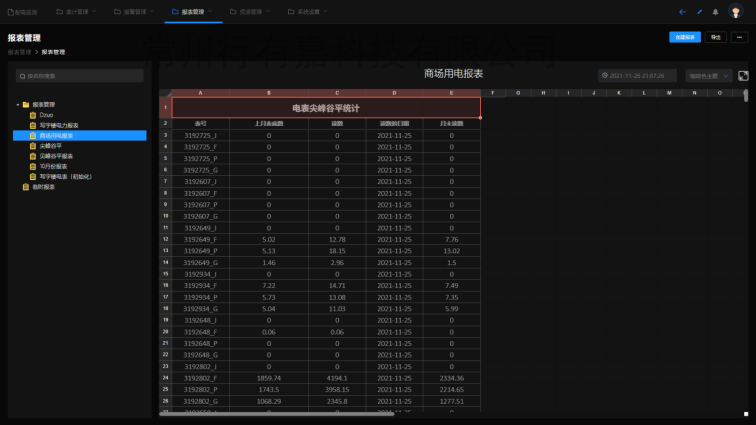 12、行有嘉能耗总和报表.png